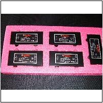 PCR301125